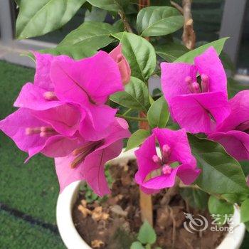 ������Щ����������Ƶ��ṩͼƬ