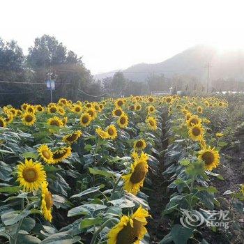 栾川望君山1号家庭宾馆酒店提供图片