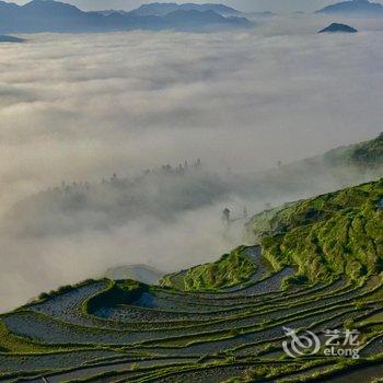 永嘉茗岙田中田摄影旅舍酒店提供图片