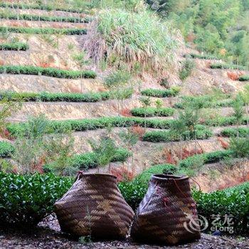 南靖沐浴阳光青年旅舍酒店提供图片