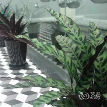 上海霖佳酒店酒店提供图片