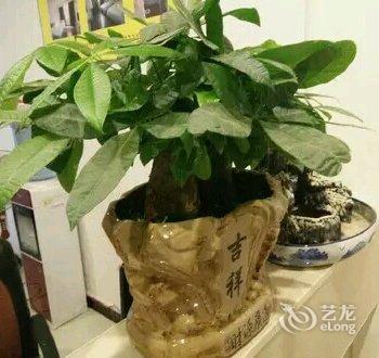 三都湖人宾馆酒店提供图片