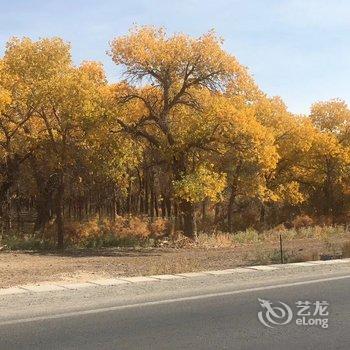 额济纳旗胡杨小镇客栈酒店提供图片