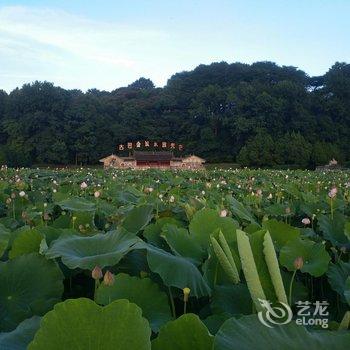 上杭乘意耘公寓酒店提供图片