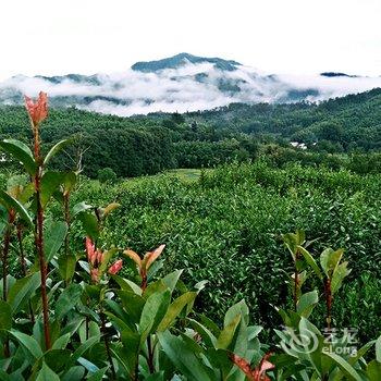 黟县宏村清馨家庭旅社酒店提供图片