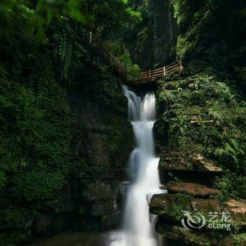 雅安碧峰峡桥头农家乐酒店提供图片