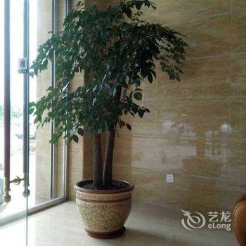 中山现代休闲公寓酒店提供图片