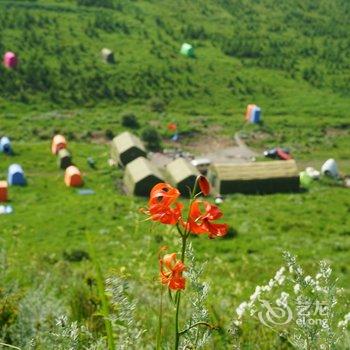 崇礼桦皮岭天路野外宿营地酒店提供图片