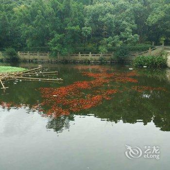 舟山普陀山君来悦民宿酒店提供图片