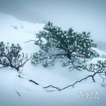 云和后杉缘家庭农场酒店提供图片