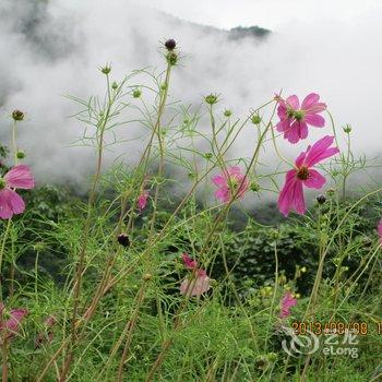 太白川嫂农家乐酒店提供图片