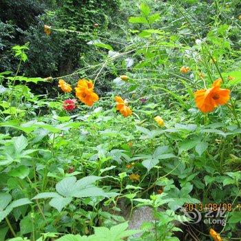 太白川嫂农家乐酒店提供图片