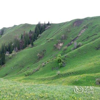 新疆伊犁天山黑蜂庄园生态酒店酒店提供图片