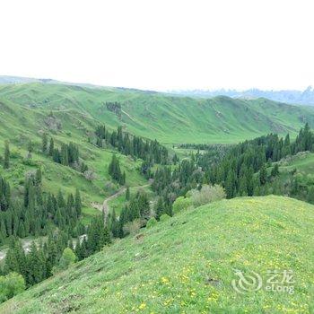 新疆伊犁天山黑蜂庄园生态酒店酒店提供图片