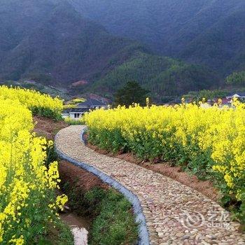 淳安鳌山渔村-淳乡居酒店提供图片