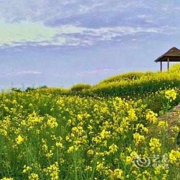 淳安鳌山渔村-淳乡居酒店提供图片