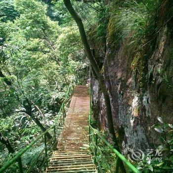 安吉树墅民宿用户上传图片