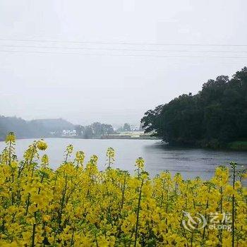 武夷山揽海听风国际青年旅舍(原武夷山红袍缘精品酒店)酒店提供图片