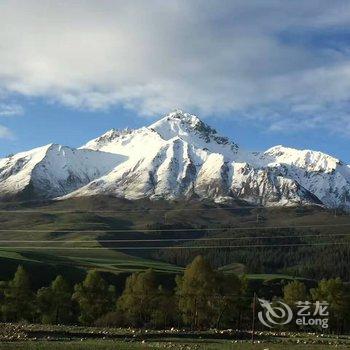 祁连海悦避暑山庄酒店提供图片