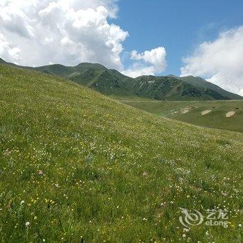 祁连海悦避暑山庄酒店提供图片