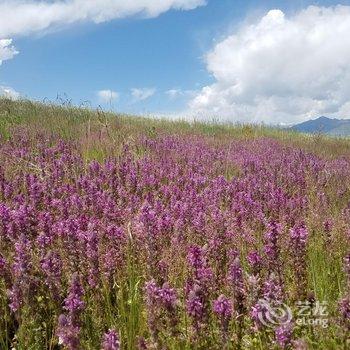 祁连海悦避暑山庄酒店提供图片