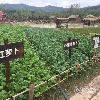 南京石塘竹卿舍田园民宿酒店提供图片