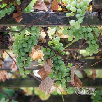 重庆酷虫王国民宿酒店提供图片