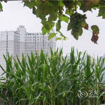 重庆酷虫王国民宿酒店提供图片