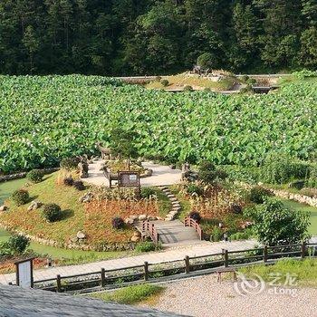 文成思贤居民宿酒店提供图片