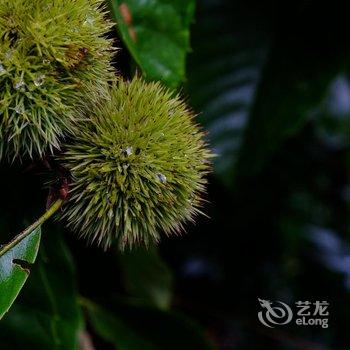 莫干山村暖·隐莫干酒店提供图片