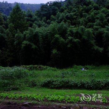 莫干山村暖·隐莫干酒店提供图片