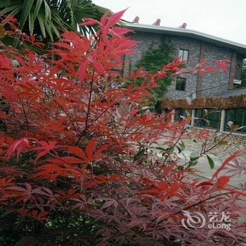 德清莫干山逍遥度假村酒店提供图片