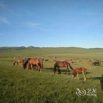 赤峰七天假日山庄酒店提供图片