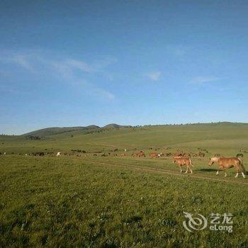 赤峰七天假日山庄酒店提供图片