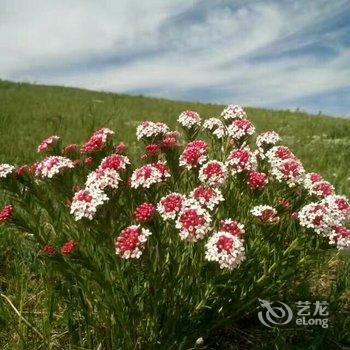 赤峰七天假日山庄酒店提供图片