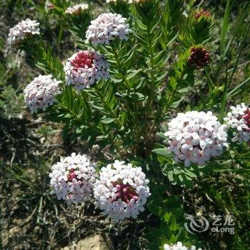 赤峰七天假日山庄酒店提供图片