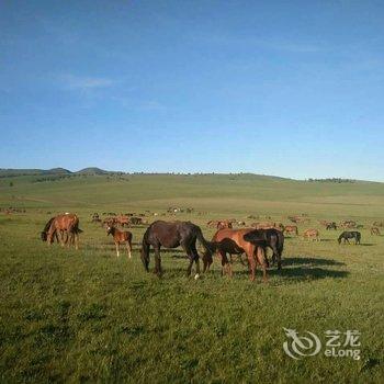 赤峰七天假日山庄酒店提供图片