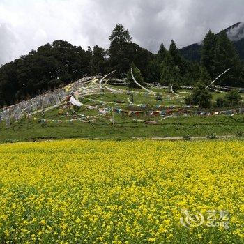 林芝知道你会来民宿酒店提供图片