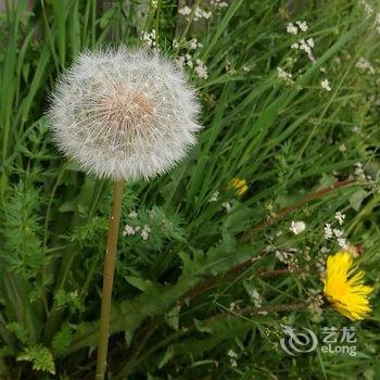 林芝知道你会来民宿酒店提供图片