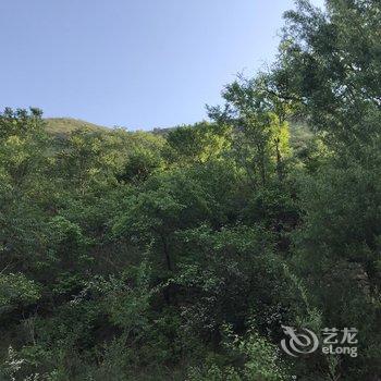 保定野三坡白草畔鑫鑫家园酒店提供图片