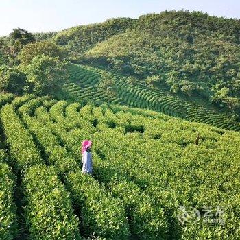 安吉上山下山民宿酒店提供图片