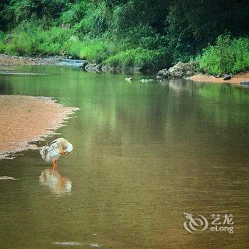 安吉树墅民宿酒店提供图片