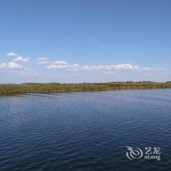 额济纳塞外胡杨家庭客栈酒店提供图片