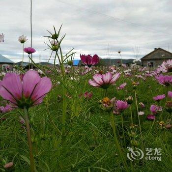 额尔古纳箱约客栈酒店提供图片