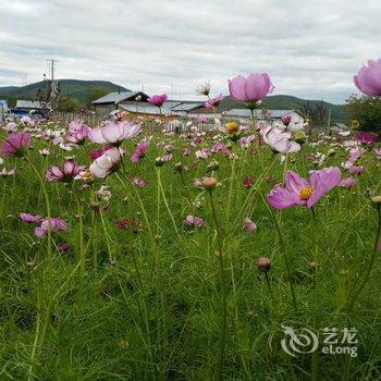 额尔古纳箱约客栈酒店提供图片