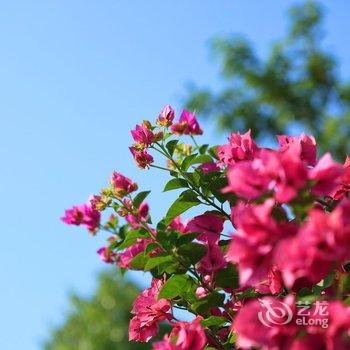 桂林未见雨江景客栈酒店提供图片