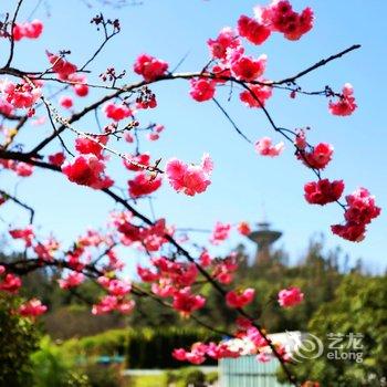 昆明世博房车时光·行云轩轩房车营地酒店提供图片