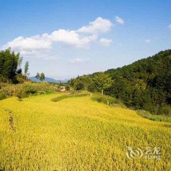 金榜乡村.岳西金榜自然村酒店提供图片