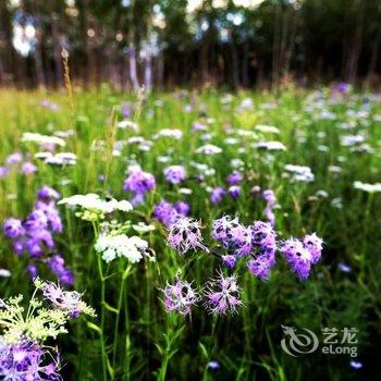 阿尔山天骄神骏宾馆酒店提供图片