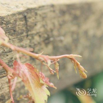 重庆悠悠千寻空中江景青年旅舍洪崖洞店酒店提供图片